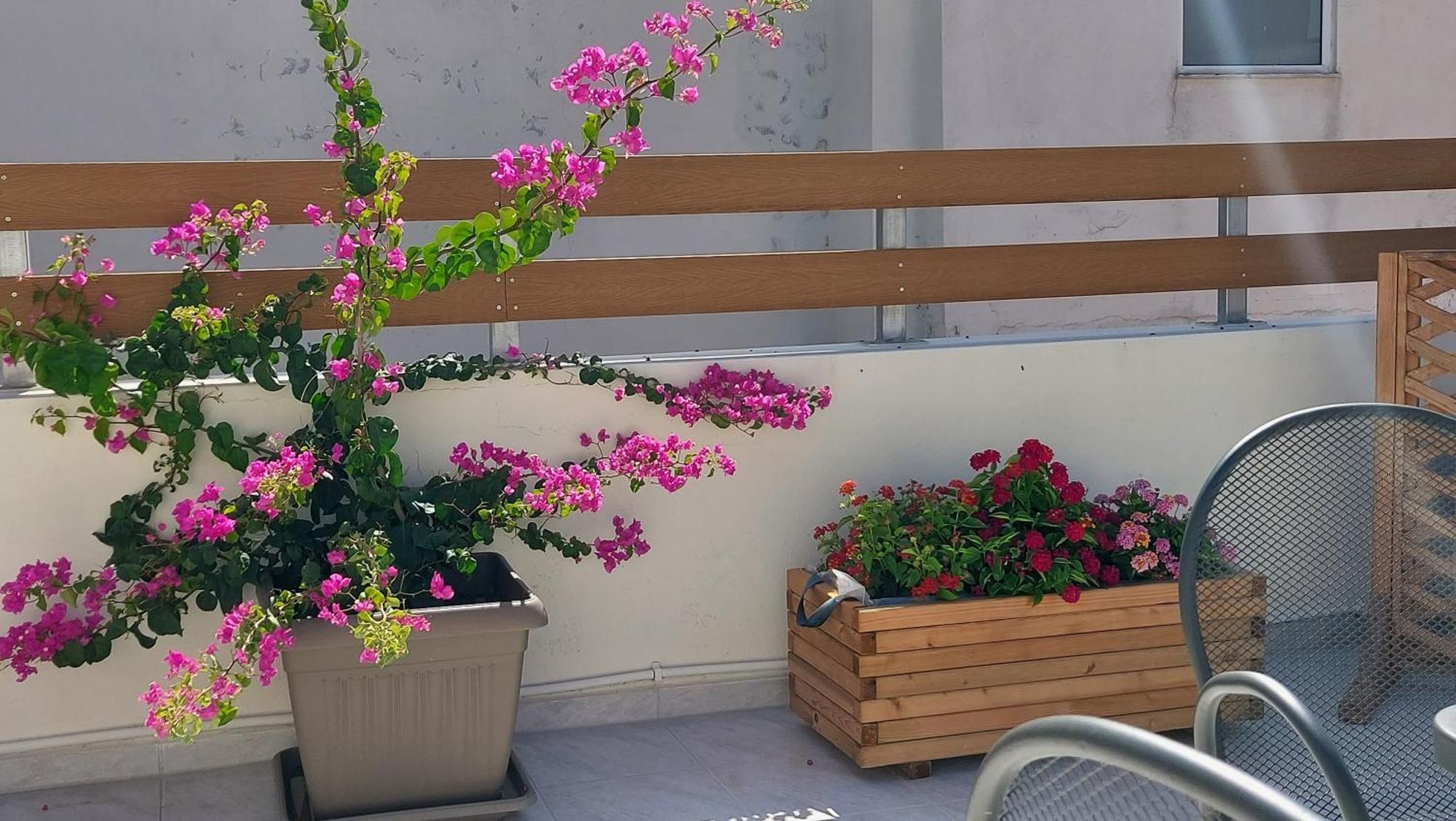 The Little Big Apartment In The Heart Of Heraklion Exterior foto
